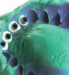 Гидрорайз Регуляр Боди - оттиск